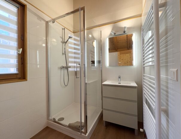 06 apt5 bathroom